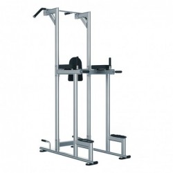 Structure pour Chin/Dip/Leg...