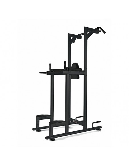 Structure pour Chin/Dip/Leg raise noire TOORX PRO WBX-B2800