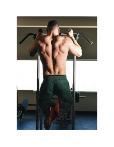 Structure pour Chin/Dip/Leg... 2