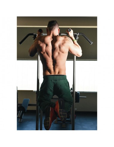 Structure pour Chin/Dip/Leg raise...