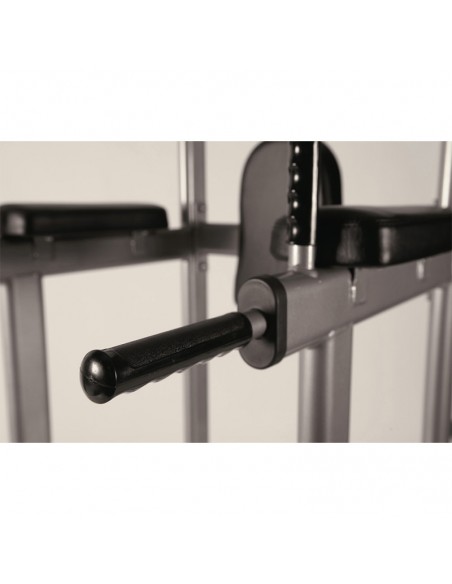 Structure pour Chin/Dip/Leg raise noire TOORX PRO WBX-B2800